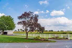 Maybe you would like to learn more about one of these? Amish Country Corn Field Road Trees Fence And Flowers In Lancaster Pa Us Stock Photo Picture And Royalty Free Image Image 136723906