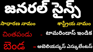 General Science Gk In Telugu Trees And Animals Scientific Name Youtube
