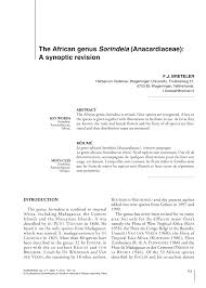 Image result for Sorindeia katangensis