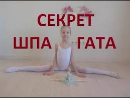 как сесть на шпагат в домашних условиях видео уроки Shpagat Otkryvaem Sekret Uprazhnenie Dlya Lenivyh Kak Bystro Sest Na Shpagat Youtube Trenirovochnye Uprazhneniya Uprazhneniya Rastyazhki