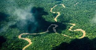 Living Gaia E V Sammelt Spenden Fur Ein Grosses Stuck Land Im Brasilianischen Urwald Um Das Indigene Volk Der Huni Kuin Sowie Unkon Amazonas Waldflache Urwald