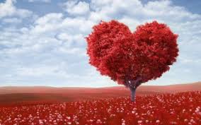 3d Love Heart Wallpaper Wallpapers For Free Download About 3 683 Wallpapers Wallpapers 3d full hd 1920x1080, desktop backgrounds hd 1080p.