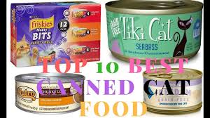 I see more and more cat food review sites have popped up since i started in 2012. Top 10 Best Canned Cat Food Youtube
