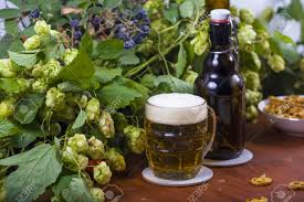 Lupulo cascade americano x 500kg cerveza artesanal palermo. Lupulo Cerveza Comida Aperitivos Fotos Retratos Imagenes Y Fotografia De Archivo Libres De Derecho Image 67104146