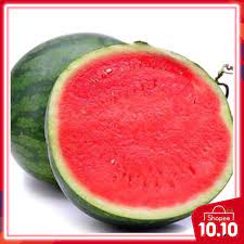 200+ gambar lucu bikin ngakak yang konyol dan gokil abis update terbaru 2018. 5pcs Tembikai Hibrid Hampir Seedless Tanam Dalam Pasu Rumah Bandar Gambar 2 1 Pokok Dh Cukup Mkn 1 Family Shopee Malaysia