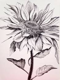 Sketched outline vector art, clipart and stock vectors. Drawn Sunflower Ink Art Pencil Drawings Of Flowers Sunflower Drawing