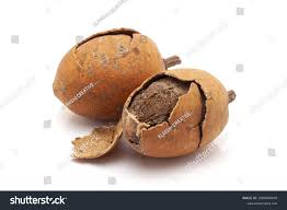 Image result for Balanites aegyptiaca