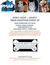 Love, care, safety and a family of their own. Pet Expo Portsmouth Nh Pibbles More Animal Rescue
