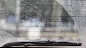 Tips Menghilangkan Jamur Kaca Mobil Dan Mencegah Kaca Berembun