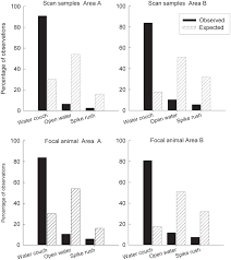 Some focal animal data watching the same group of. Foraging Habitat Selection Of Glossy Ibis Plegadis Falcinellus On An Australian Temporary Wetland