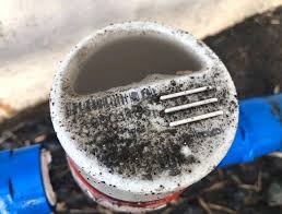 Buy our report for this company usd 19.95 most recent financial. Iot Archives Scandasia