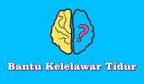 Kali ini bantulah kelelawar untuk tidur. Kunci Jawaban Bantu Kelelawar Tidur Brain Out Kingsmpls Com
