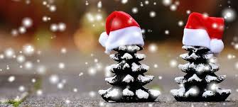 Nicolae se numesc père noël (tatal craciun). Traditii Si Obiceiuri De Craciun Brazi Craciun Net Blog