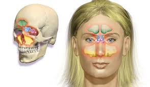 The coding process again begins with the analysis and abstraction of a medical report. Icd 10 Ethmoiditis Yang Tajam Sinusitis Dalam Klasifikasi Penyakit Internasional