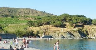 Crique De Port Vendres Pyrenees Orientales Station Balneaire Pyrenees