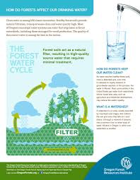 The most biologically diverse and complex forests are tropical rainforests, according to the world wide fund for nature. Fact Sheet Drinking Water Oregonforests