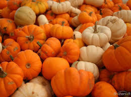 See more beautiful widescreen desktop wallpaper, desktop wallpaper, naruto desktop backgrounds, superman desktop backgrounds, fall themed desktop looking for the best pumpkin desktop backgrounds? Pumpkins Wallpapers Wallpaper Cave