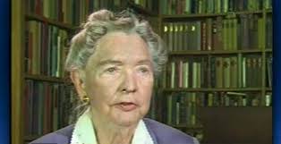 2017 New Mexico Football Media Guide