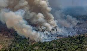 Di malaysia pada penghujung 1989 anggaran 18.5 juta hektar atau 56.3 peratus daripada bumi di malaysia diliputi hutan. Atasi Kemusnahan Biodiversiti Tangani Pandemik Covid 19