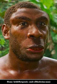 Neanderthal Ancestry, Highest in East Asians also found in Maasai