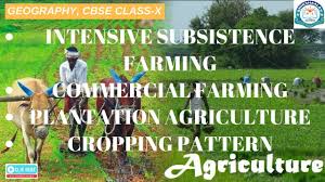 Maybe you would like to learn more about one of these? Intensive Subsistence Farming Commercial Farming Plantation Agriculture Cropping Patter Youtube