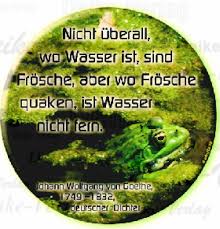 Sprüche Nicht überall Wo Wasser Ist Sind Frösche Aber Wo