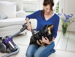We found 14 results for pet waste removal in or near melbourne, fl. Professional Pet Cleaning Services Melbourne Gsr Cleaning Services