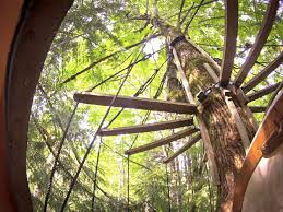 Spiral staircase from fallen cedar tree. Free Spirit Spheres Will Redefine Your Rainforest Holiday Rumblerum