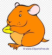 Download transparent hamster png for free on pngkey.com. Cartoon Hamster Clip Art Hamster Clipart Png Transparent Png 4019303 Pinclipart