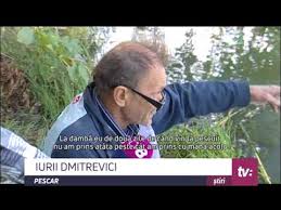 PeÈ™te Mort Youtube