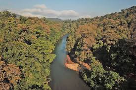 Large or overwhelming quantities drank rivers of coffee. Karen Fear Ravages From River Diversion Schemes