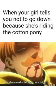 When Your Girl Tells You Not To Go Down Because She S Riding The Cotton Pony I M The One Who Decides Those Things Memes Popular Memes Funny Me