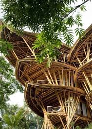 Breathtaking Construction Bamboo Treehouse In Bali Known As The Sharma Springs A Six Story Struc Maison Dans Les Arbres Cabane Dans Les Arbres Architecture