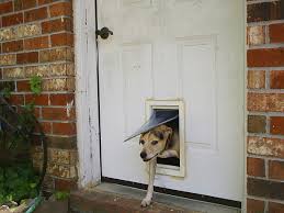 Maybe you would like to learn more about one of these? Installing Dog Door In Metal Door Pasteurinstituteindia Com
