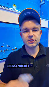 Uwaga Promka a jutro 24/08 Józefów nieczynny #erybka #erybka_pl  #akwarystykamorska #akwariummorskie