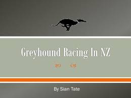 We are greyhounds as pets (gap). Greyhound Racing Industry In New Zealand Dying To Entertain You By Claire Sweeney Ppt Download