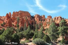 Dixie National Forest The Dixie National Forest In Southern Utah The Contrast Between The Red Rocks And Green Trees Travel Travel Photos Wanderlust Travel