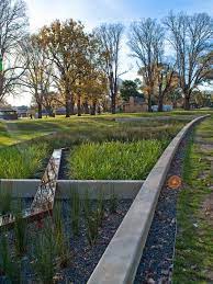 The Edinburgh Gardens Rain Garden In Melbourne Rain Garden Design Landscape Design Rain Garden