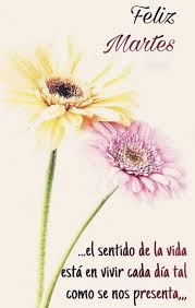 Maybe you would like to learn more about one of these? Feliz Martes Mensajes Cristianos Bienvenido Martes Hola Martes