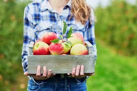 Have a source of protein along with this carb to stay fuller longer. Surprising Health Benefits Of Apples Best Health Canada