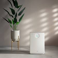 Our top seven recommendations for air purifiers available in malaysia are listed below. New Coway Lombok Iii Rbd Plasma Air Purifier Ioniser Air Filter Malaysia