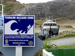 The pacific tsunami warning center said tsunami waves were possible within 186 miles (300km) of the quake's epicentre. Warning Sign Tsunamis Te Ara Encyclopedia Of New Zealand
