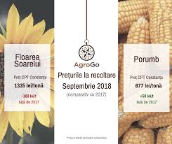 Rafinat de floarea soarelui si, de asemenea, titei brut din seminte de rapita. Agrogo Opinii Despre Burse Cereale Si Preturi