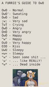 Pin By Matthew Lucier On Furry Furry Quote Furry Meme Furry Drawing