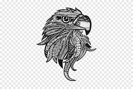 Malbuch Adler Zentangle Zeichnen Kunst Weisskopfseeadler Png Pngegg