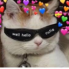I might send a gif here and there, or maybe an emoji, but i pretty much like to stick and she directed me toward some of the best ones, so i can finally have a rolodex of pics on my phone to send my crushes when words just aren't enough. Wholesome Meme Cat Sunglasses Love Cute Wholesome Meme Cat Sunglasses Love Cute Cute Love Memes Cute Cat Memes Cute Memes