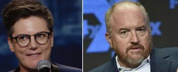 Comedian Hannah Gadsby Calls Louis C.K. an 'Angry and Bitter Joke' — World  of Reel