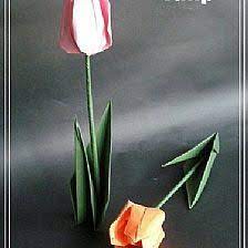 折纸花大全图解手把手教你折纸郁金香教程 plants