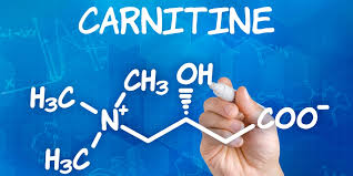 Questo si traduce in un recupero più. Cos E E A Cosa Servono Gli Integratori A Base Di Carnitina