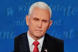 We do not have any tags for pretty fly (for a white guy) lyrics. Not Pretty Fly For A White Guy On Pence S Debate Fail Greenpeace Usa